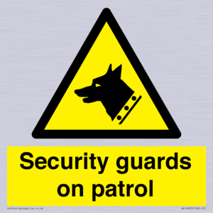 Security guards on patrol